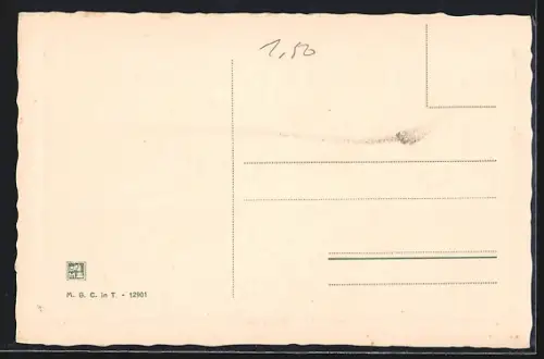 AK Torino, Panorama dal Monte dei Cappuccini