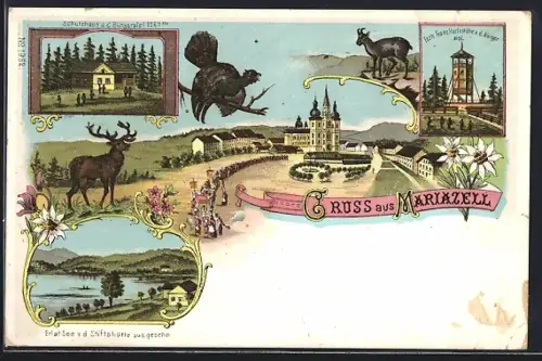 Lithographie Mariazell, Schutzhaus a. d. Bürgeralpl, Erzh. Franz Karls Höhe a. d. Bürger, Erlatsee