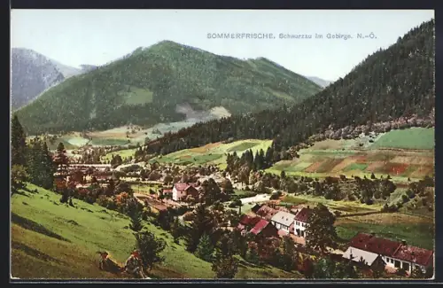 AK Schwarzau, Sommerfrische