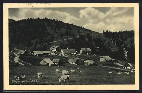 AK Aflenz, Bürgeralpe mit Kühen