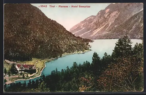 AK Plansee /Tirol, Hotel Seespitze
