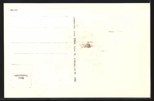 AK Langschlag, Panoramaansicht