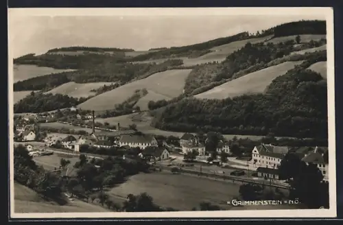 AK Grimmenstein /N.-Ö., Ortsansicht mit Bahnhof