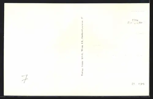 AK Hof a. d. Leitha, Ortsansicht aus der Vogelschau