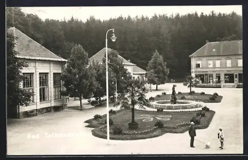 AK Bad Tatzmannsdorf, Anlage vom Kurpark
