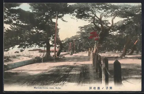 AK Kobe, Maikono-hama