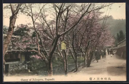 AK Nagasaki, Cherry of Nakagawa