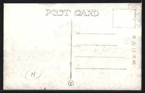 AK Asamushi, View of the Yunoshima play garden