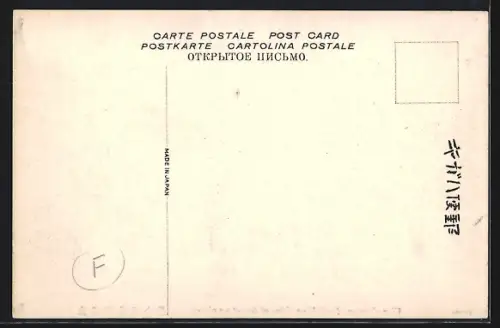 AK Iwaya /Awajishima, View of the city from the water