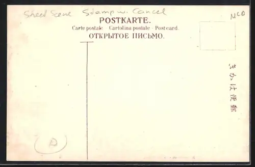 AK Nikko, Nikko-Bashi