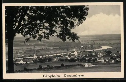 AK Erlingshofen-Donaumünster, Ortsansicht mit Kirche und Blick auf den Fluss