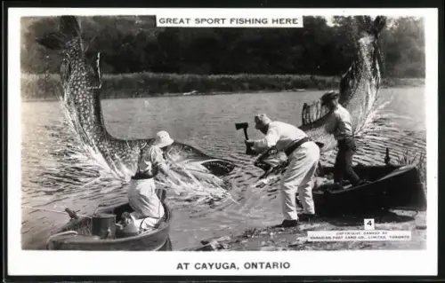 AK Cayuga /Ontario, Fischer ziehen riesige Fische ans Land