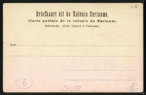 AK Paramaribo, Ingang Fort Amsterdam