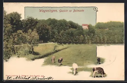 AK Wageningen, Gezicht op Belmonte