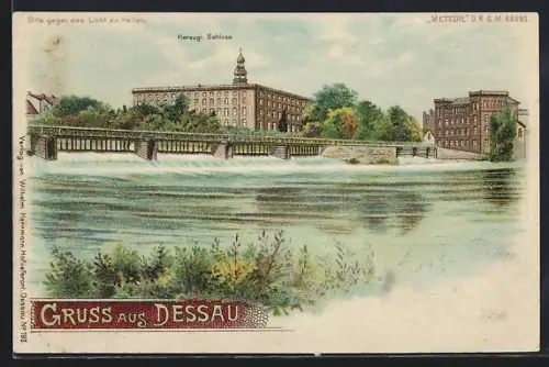 Lithographie Dessau, Blick vom Wehr zum Herzoglichen Schloss, Ansicht bei Vollmond