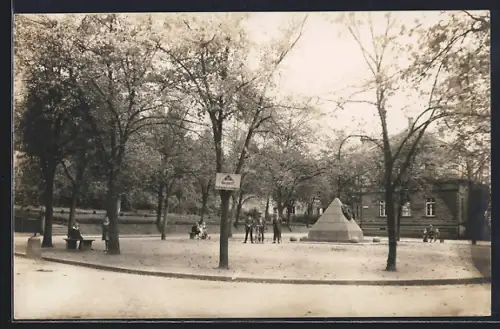 Foto-AK Annweiler, Kriegerdenkmal mit Anlagen