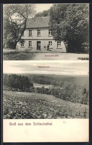 AK Schlaubetal, Karpfenteich, Partie an der Schlaubemühle