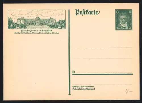 AK Bad Salzbrunn i. Schlesien, Heilbad, Gebäude, Ganzsache