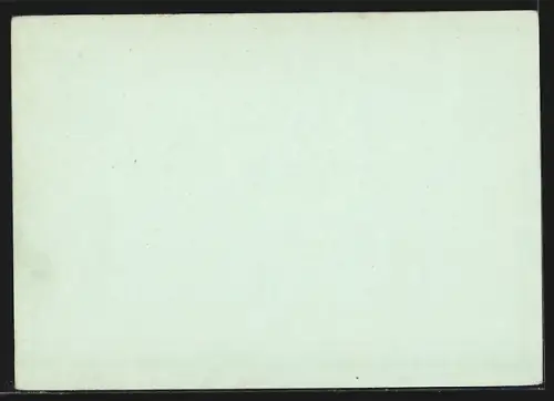 AK Heringsdorf, Ortsansicht aus der Vogelschau, Ganzsache