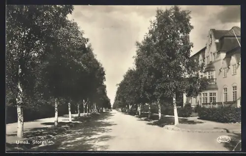 AK Umea, Storgatan