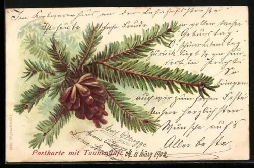 Duft-AK Tannenzweig mit Tannenzapfen