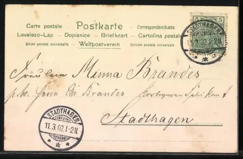 Duft-AK Tannenzweig mit Tannenzapfen