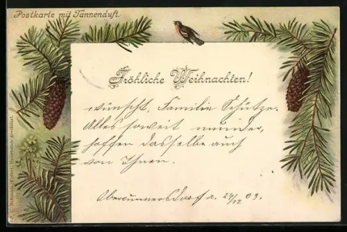 Duft-AK Tannenzweige und Tannenzapfen