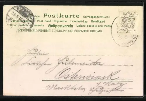Duft-AK Tannenzweige mit Tannenzapfen