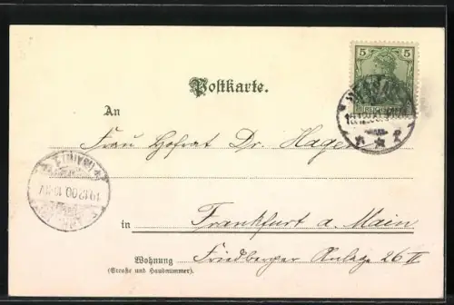 Duft-AK Tannenzweig mit Tannenzapfen