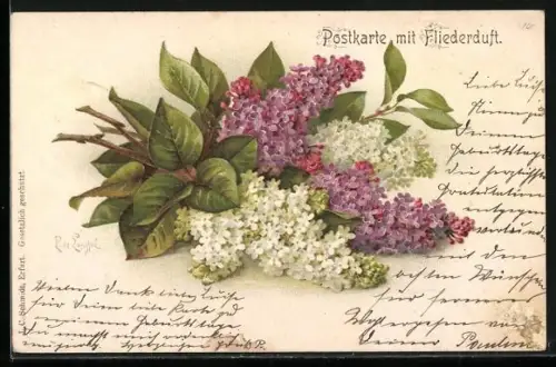 Duft-AK Blühender Flieder mit Duft