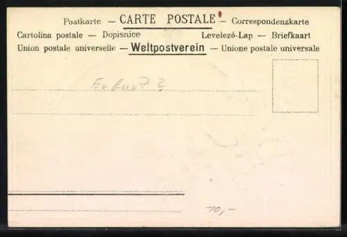 Duft-AK Schwäne auf nächtlichem Weiher
