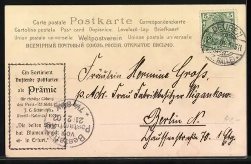 Duft-AK Tannenzweig mit Tannenzapfen