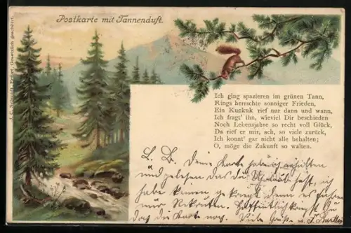 Duft-AK Eichhörnchen auf einem Tannenzweig