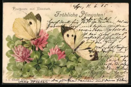 Duft-AK Schmetterling mit Kleeblättern