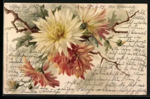 Duft-AK Blühende Blumen mit Duft