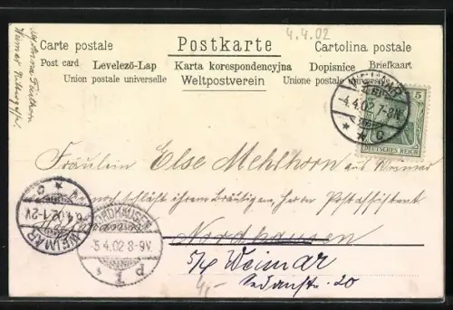 Duft-AK Blühender Flieder mit Duft