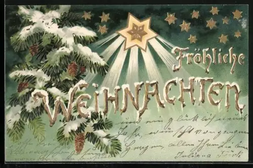 Lithographie Verschneite Tannenzweige mit Weihnachtsstern, Fröhliche Weihnachten