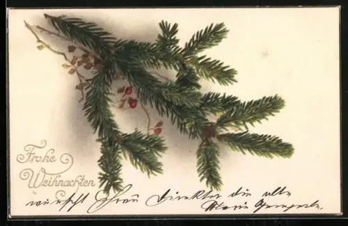 Künstler-AK Tannenzweig mit Beeren, Frohe Weihnachten