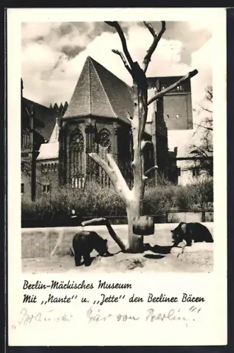 AK Berlin, Märkisches Museum mit Berliner Bären