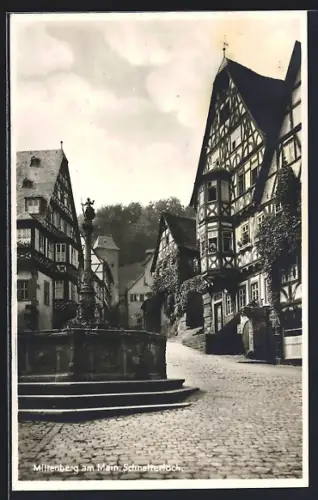 AK Miltenberg, Partie am Schnatterloch