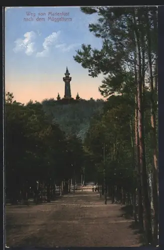 AK Berlin-Köpenick, Weg von Marienlust zum Müggelturm