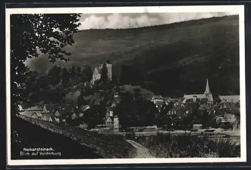 AK Neckarsteinach, Ortsansicht mit Vorderburg