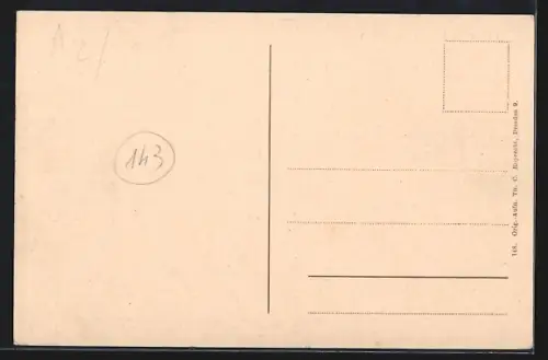 AK Dresden-Neustadt, Partie am Japanischen Palais