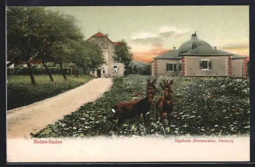AK Baden-Baden, Jagdhaus, Restaurant und Pension mit zwei Rehen auf dem Feld