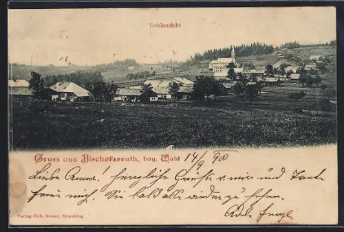 AK Bischofsreuth /bay. Wald., Totalansicht von der Weide aus