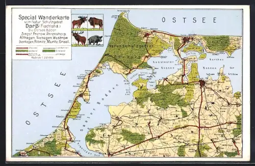 AK Barth, Landkarte Darss, Wanderkarte