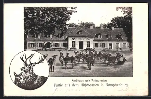 AK München-Nymphenburg, Restaurant Forsthaus, Partie aus dem Hirschgarten in Nymphenburg