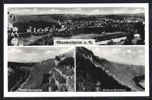AK Mundelsheim a. N., Mühlbachweinberge, Käsberg-Weinberge, Totalansicht
