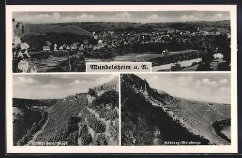 AK Mundelsheim a. N., Mühlbachweinberge, Käsberg-Weinberge, Totalansicht