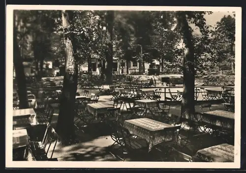 AK Mannheim, Waldparkrestaurant Am Stern J. Kohl, Gartenansicht mit Gebäude
